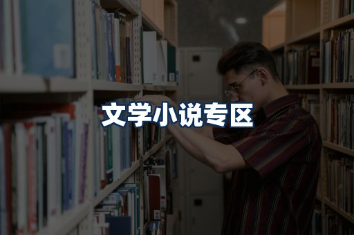 文学小说PDF展示